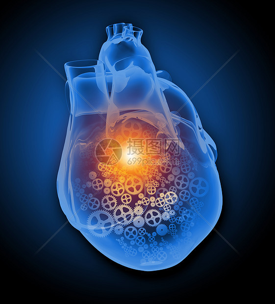 人类的心脏机制的人类心脏图像健康医学图片