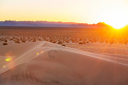 撒哈拉沙漠的沙丘图片