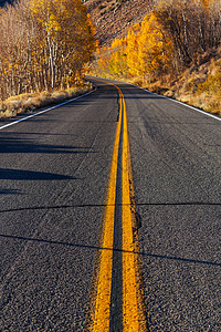 内华达山脉地区阳光明媚的早晨,乡村道路上五彩缤纷的秋天景象背景图片