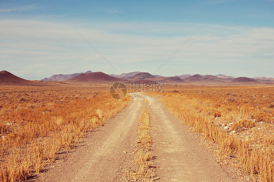 草原的道路图片