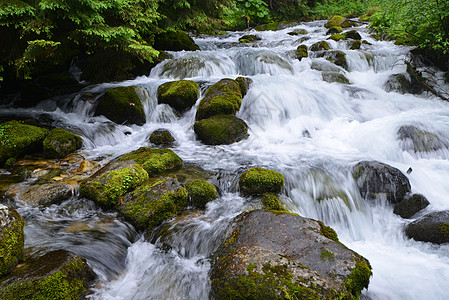 山中流水的小溪图片