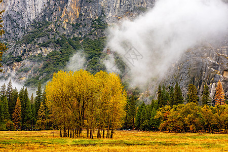多云的秋季早晨,约塞米蒂公园山谷低云躺山谷里加州,美国图片