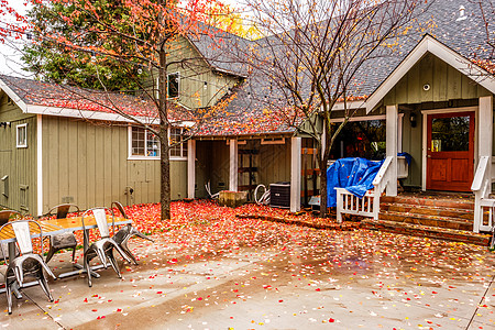 秋天的雨天,带花园后院的住宅潮湿的人行道上飘落的黄色红色的秋叶图片
