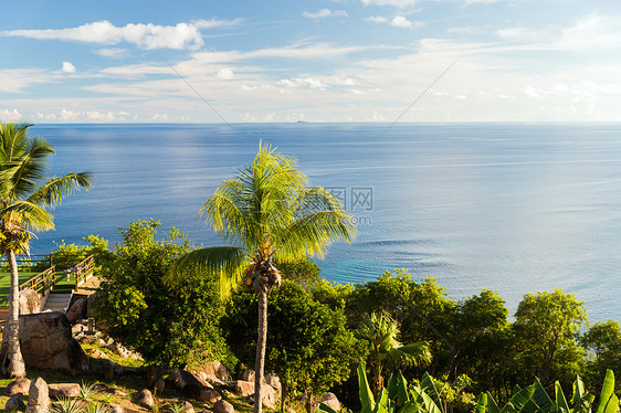 旅行,景观自然岛上观看印度洋与棕榈树岛上看印度洋,棕榈树图片