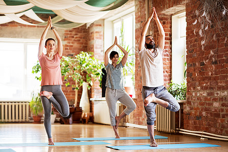 健身,冥想健康的生活方式群人工作室的树姿势瑜伽群工作室瑜伽树姿势的人图片