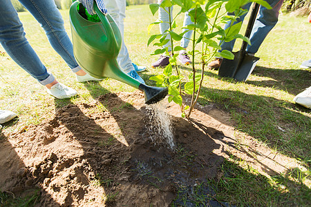 志愿服务慈善人与生态理念公园快乐志愿者种植浇灌树苗群志愿者公园植树图片