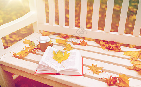 季节,教育文学开放的书咖啡杯长凳上的秋季公园秋季公园的长凳上打开书咖啡杯图片