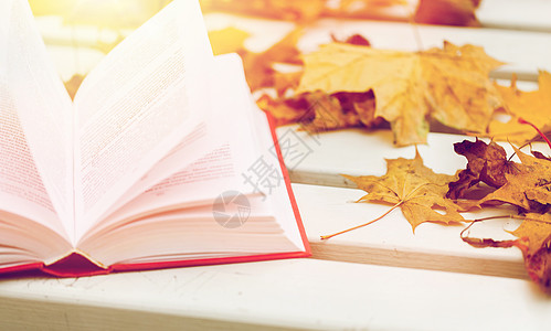 季节,教育文学开放的书秋天的树叶公园长凳上公园的长凳上打开书秋叶背景图片