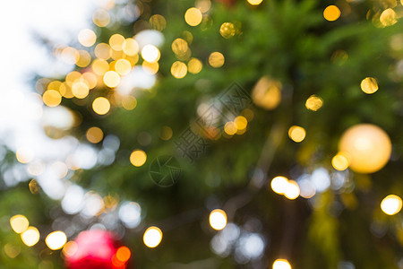 假日背景冷杉树与模糊的诞灯冷杉树,背景模糊的诞灯图片