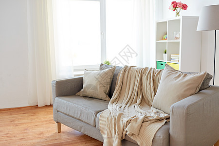 舒适,家具室内沙发与垫子舒适的家庭客厅沙发垫子舒适的家庭客厅图片