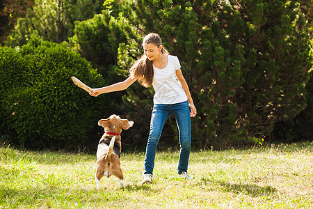 趣的女孩公园里扔棍子给活跃的比格犬女孩院子里只狗玩图片