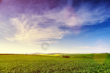 阳光明媚的乡村春天景观山上绿色的春天农田日光云天空绿色春天田野图片