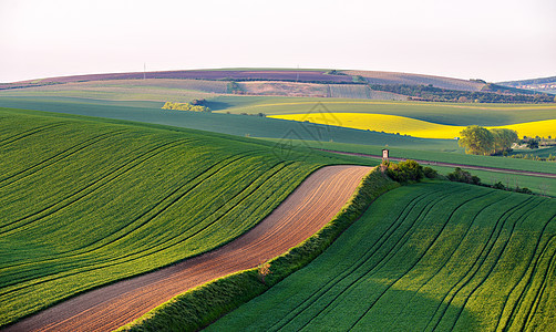 捷克莫拉维亚春季绿色田野上的狩猎小屋盒绿色春天耕地上农村农业场景图片