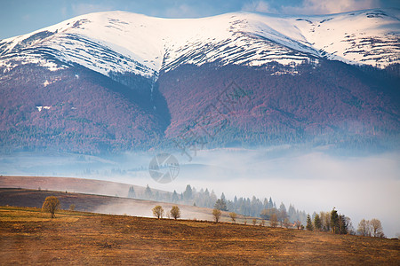 白雪覆盖了山脉山谷里的晨雾春秋迷蒙的景象雾蒙蒙的山图片