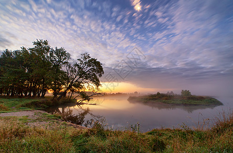 黎明,朦胧的早晨条河上奇妙的雾状河流,河岸上橡树日出,戏剧色彩斑斓的风景背景图片