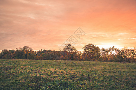 乡村夕阳与橙色天空中的乡村景观与绿色的草地五颜六色的树木秋天颜色农村的高清图片素材
