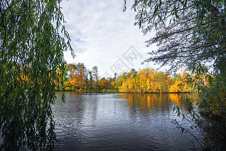 秋天的五颜六色的树湖旁,秋天的景色金色的秋天图片