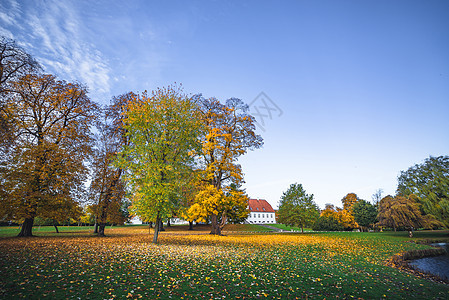 秋天的景观与落叶五颜六色的树木秋天的季节,秋天的公园里,秋叶地上白天高清图片素材