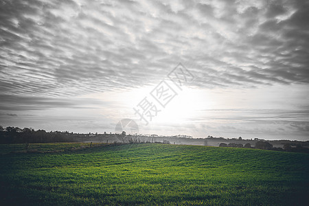 乡村日出,绿色的田野多云的天空,乡村的环境中,乡村的田野上,篱笆图片