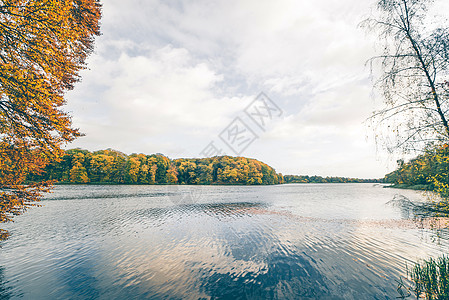 秋天的湖景,秋天的树木五颜六色,十月的阴天个黑暗的湖背景图片