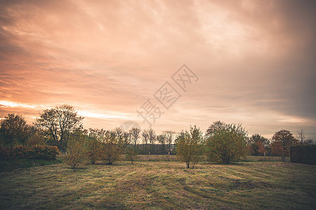 乡村景观与树木草坪日落秋天与橙色的光天空自然高清图片素材