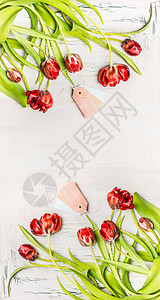 郁金香花朵边框美丽的红色弯曲郁金香与标签白色木制背景,顶部视图,垂直花卉边框春天的花朵背景