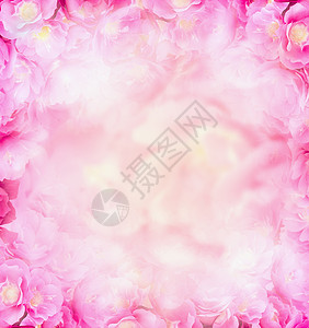 粉红色的玫瑰模糊了背景背景图片