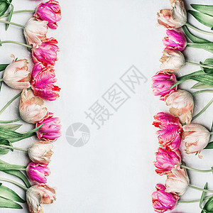 漂亮的彩色郁金香与水滴,花框,顶部的春天的花朵高清图片