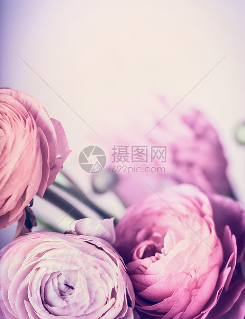 淡粉色的花粉彩背景上,特写花卉边框贺卡的图片