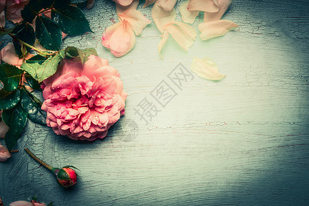 花卉背景与粉红色玫瑰花绿松石破旧别致的木材,顶部的,复古色调图片