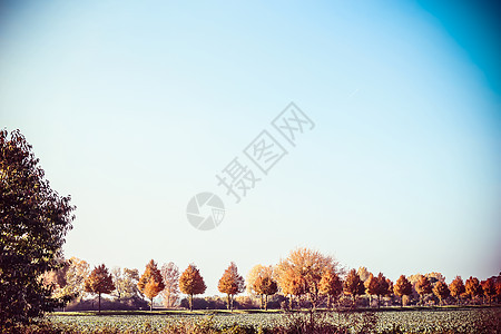 美丽的秋天乡村景观,树木,田野蓝天坠落户外自然背景图片