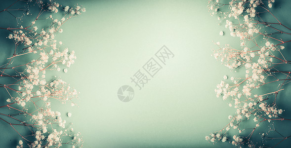 漂亮的白色果蝇花绿松石绿色背景,漂亮的花框,顶部视图,横幅图片