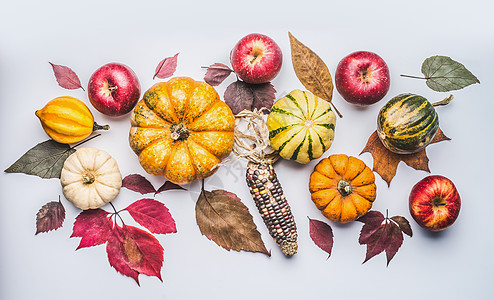 秋平躺着与南瓜,苹果落叶,顶部的景色图片