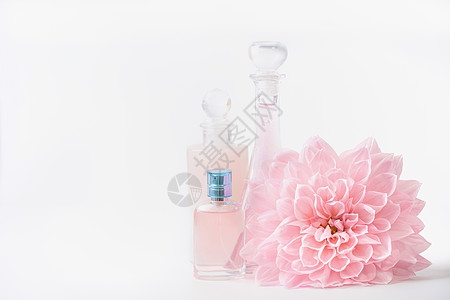 化妆品香水瓶与粉红色淡花白色背景,正视图美容护肤理念图片