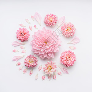 圆形粉红色浅花成,花瓣白色桌背景上,平躺,顶部观看创意花卉布局贺卡为母亲节,婚礼,快乐事件生日图片