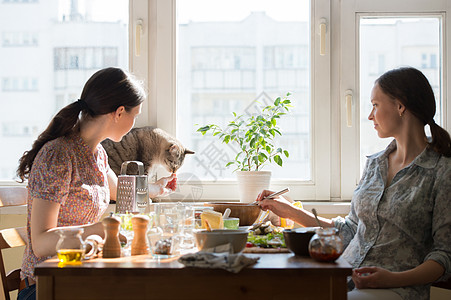 两个女人家煮披萨用配料填充比萨饼,喂可爱的猫图片