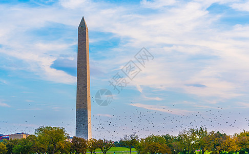 华盛顿特区的华盛顿纪念碑图片