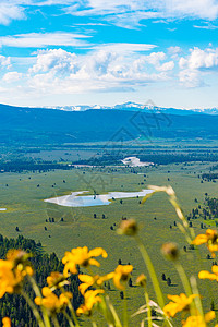 信号山,大提顿公园,怀俄明州背景图片