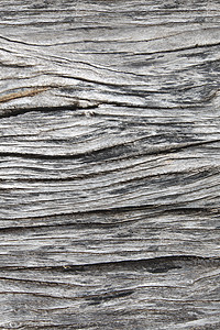 古老的木材纹理旧风化灰色木材纹理为背景图片