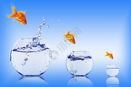 金鱼用水跳进水族馆图片