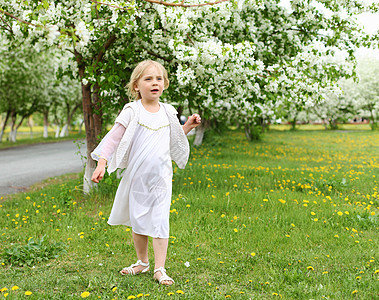 天使草春天公园里穿着白色衣服的小女孩背景