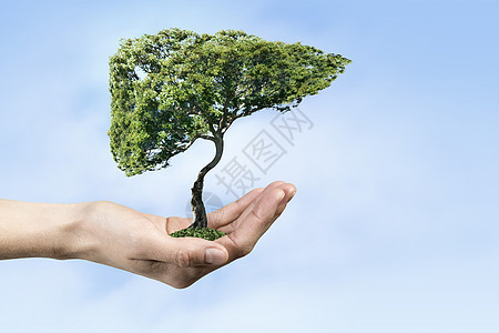 生态健康紧紧握住绿树的图片