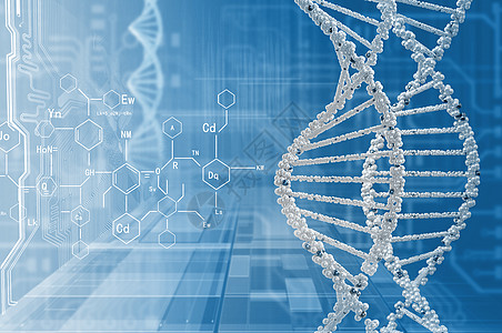 DNA分子高科技DNA分子的生物化学背景图片