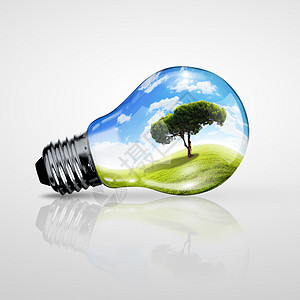 绿色能源符号,生态,灯泡图片