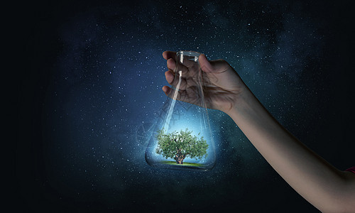 璃瓶里的树生态与手持璃管绿树图片
