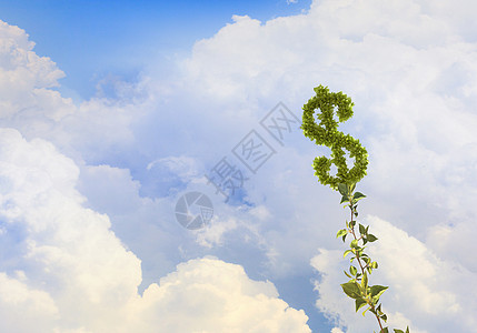 增加你的收入货币收入与绿色萌芽成长图片