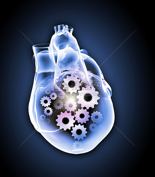 人类的心脏机制的人类心脏图像健康医学图片
