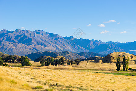 风景如画新西兰阿尔卑斯山田野的自然景观图片