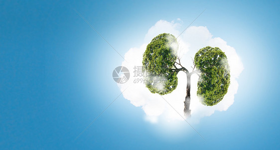 空气污染绿色树的图像,形状像人类的肺图片