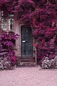 旧木门的石砖房子与交替超现实的彩色景观图片